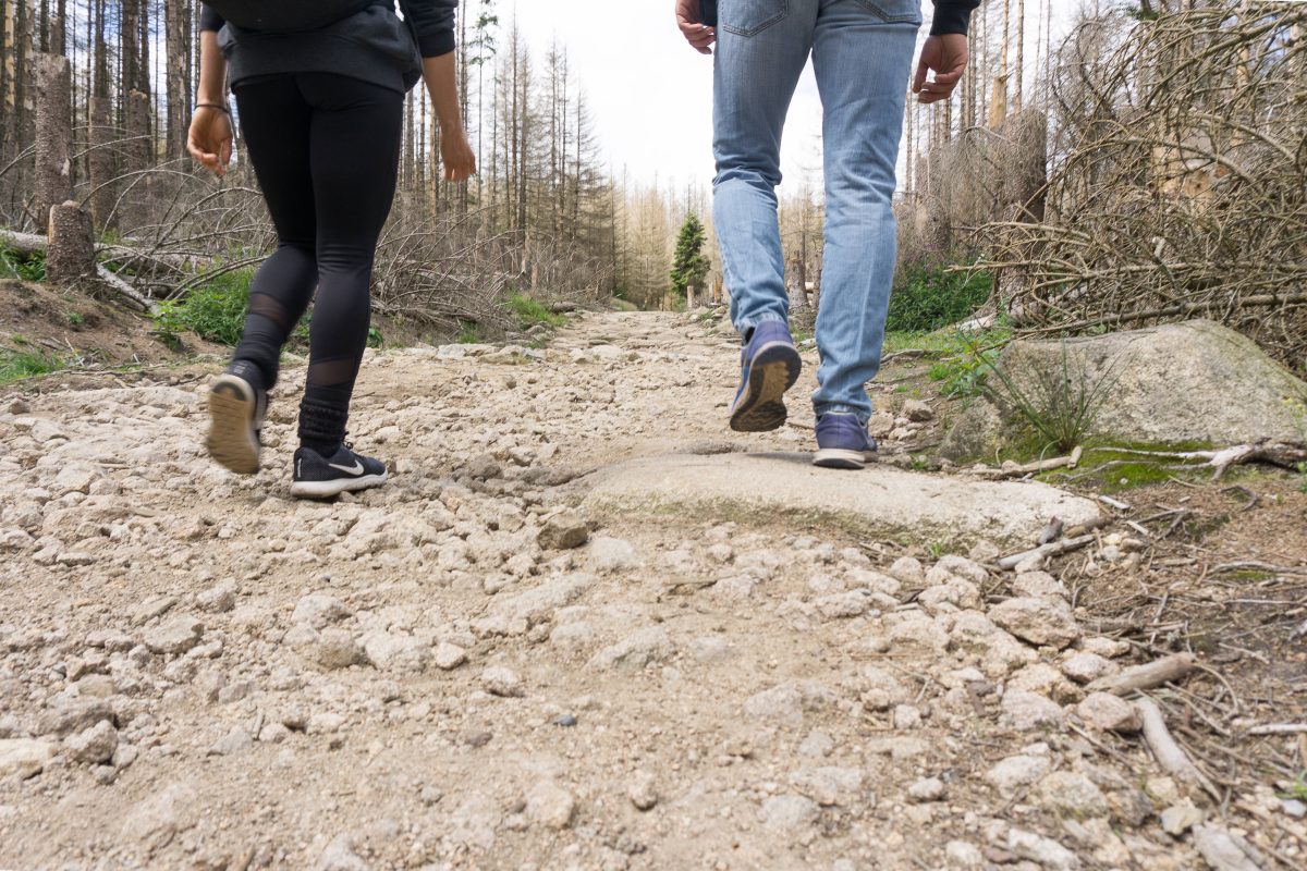 Im Harz musste ein Weg gesperrt werden, weil es hier für Wanderer zu gefährlich ist.