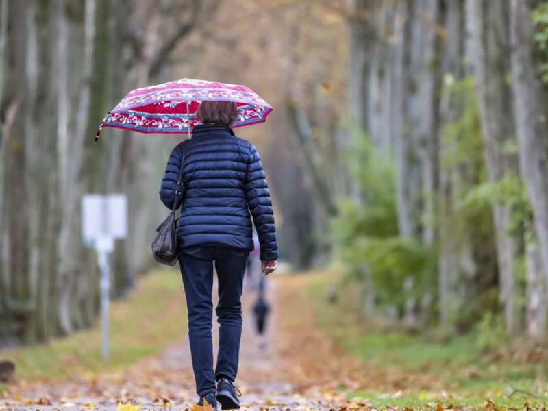 Derzeit herrscht eher Herbststimmung in Niedersachsen - jedenfalls was das Wetter angeht. (Archivbild)