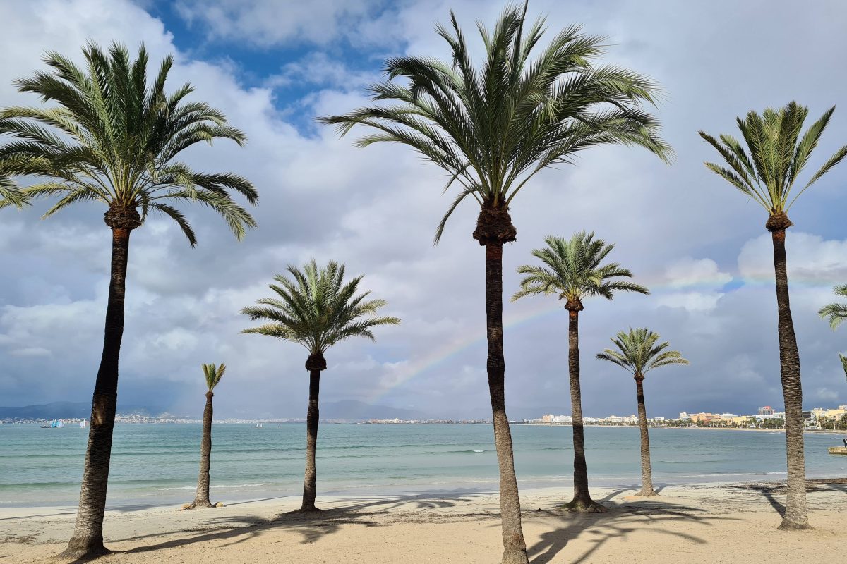 Das Wetter auf Mallorca