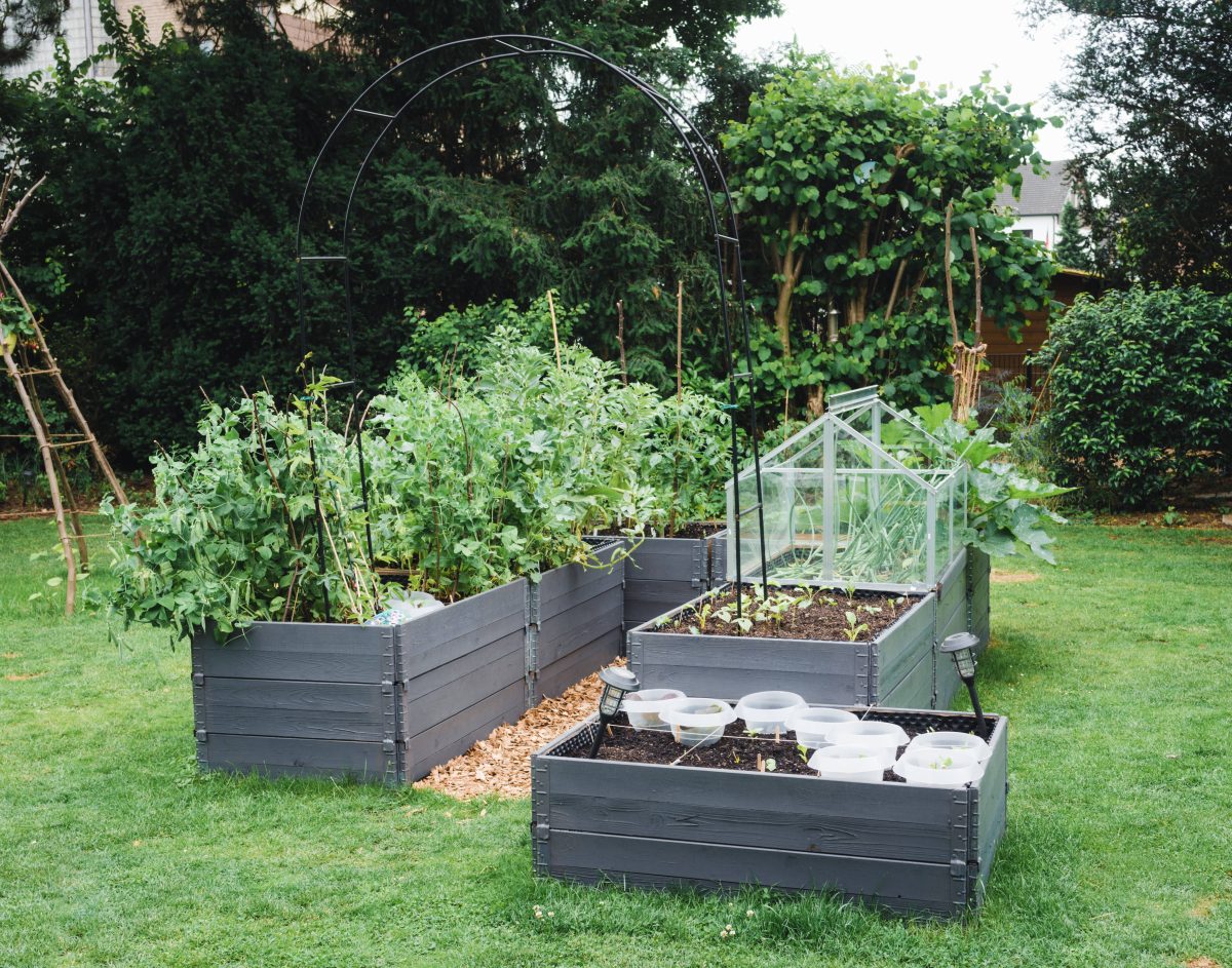 Bußgeld im Garten wegen Schnecken