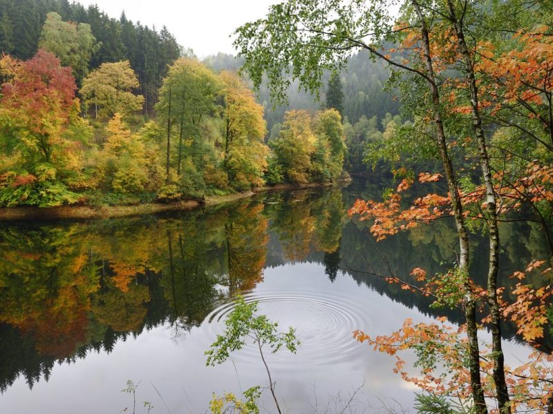 wetter november