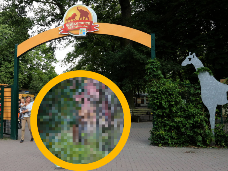 Zoo Hannover