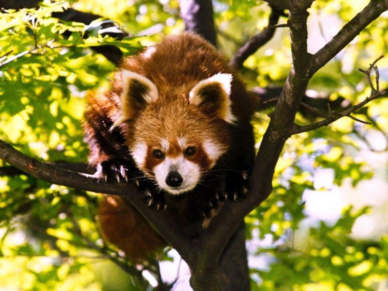 Zoo Hannover