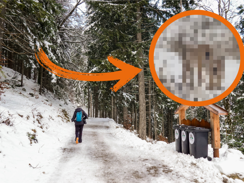 Harz-Wanderer macht spektakulÃ¤re Entdeckung â€“ â€žEine absolute Besonderheitâ€œ