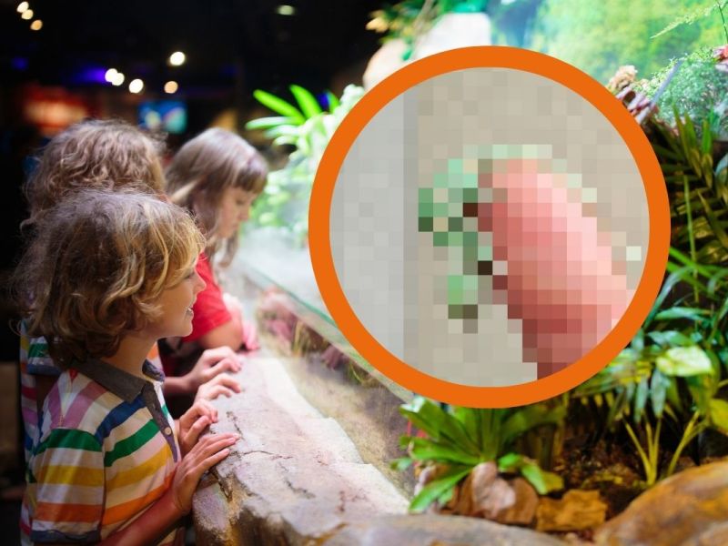 Kinder im Museum
