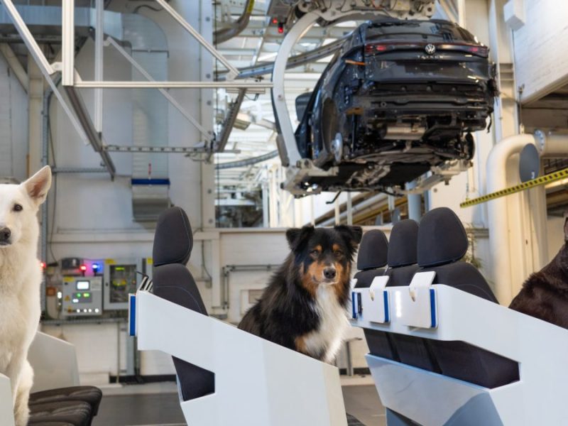 Hunde besuchen die Tayron Produktion im Volkswagen Werk Wolfsburg.