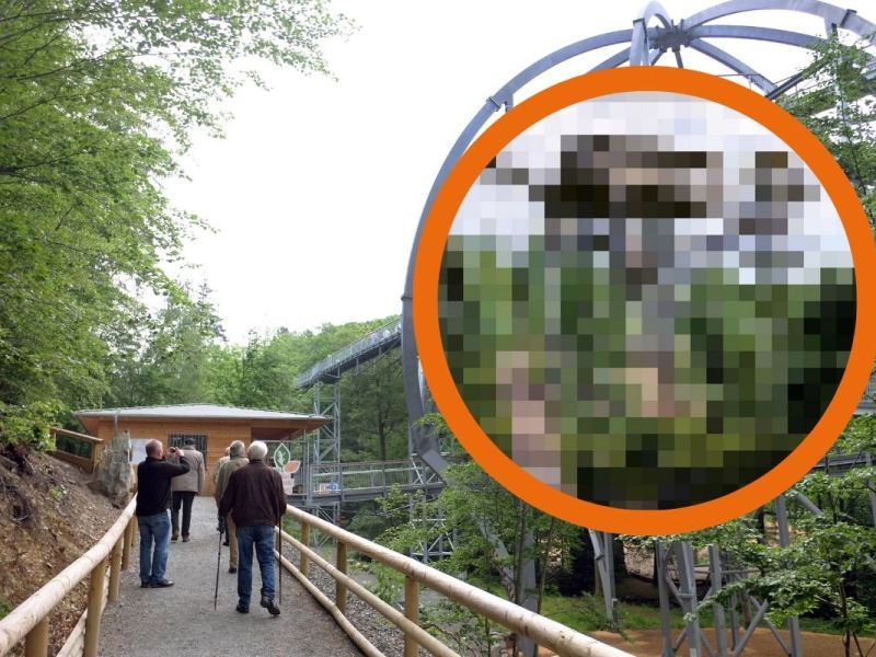 Harz-WipfelErlebnisWelt