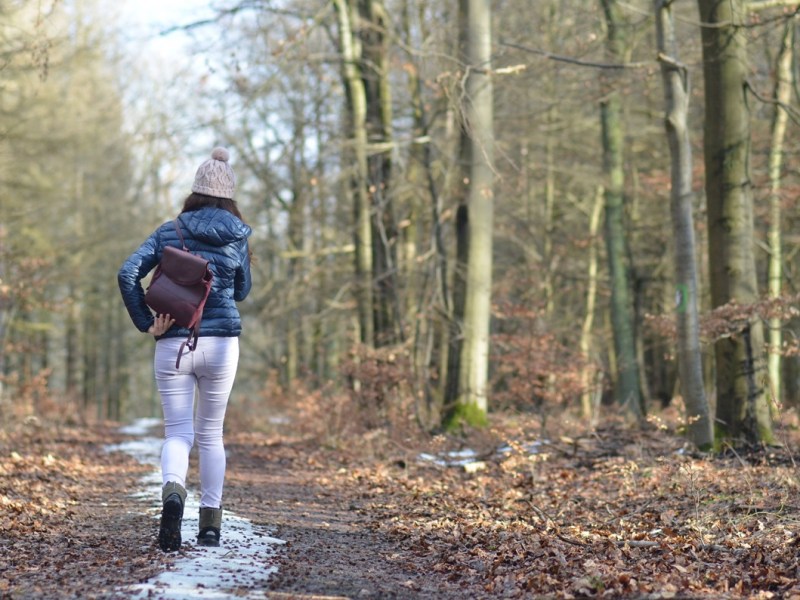 Eine Frau hat im Harz eine skurrile Entdeckung gemacht. (Symbolbild)