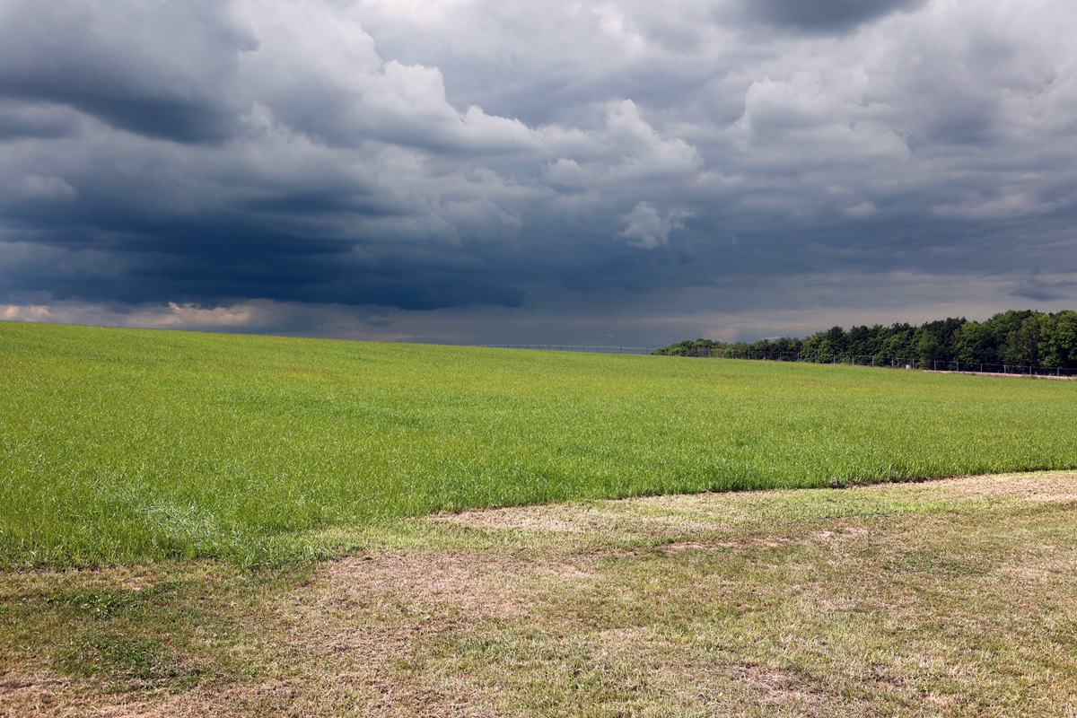 Regenwolken über einem Feld