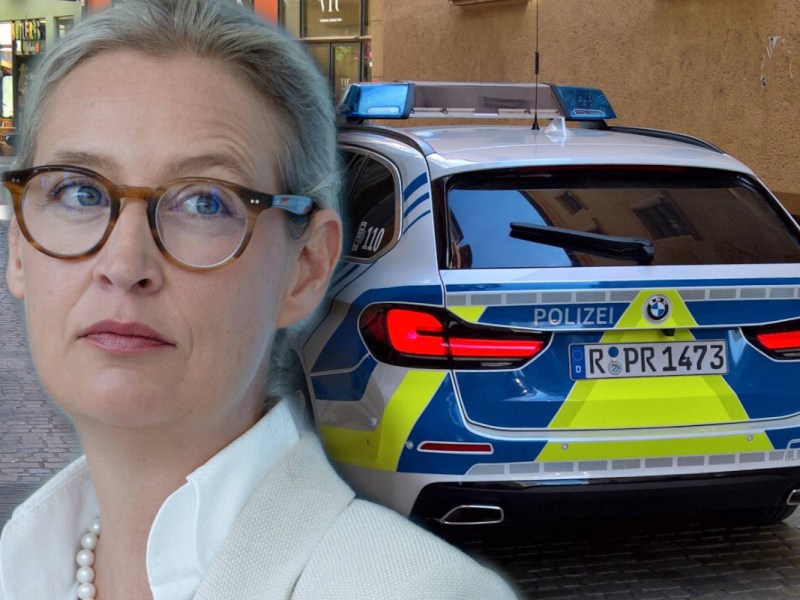 Wirbel um AfD-Chefin Weidel in Regensburg
